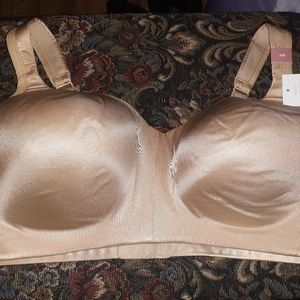 Cacique Intimates & Sleepwear - Brand new bra with tags Cacique Intimates & Sleepwear - Brand new bra with tags